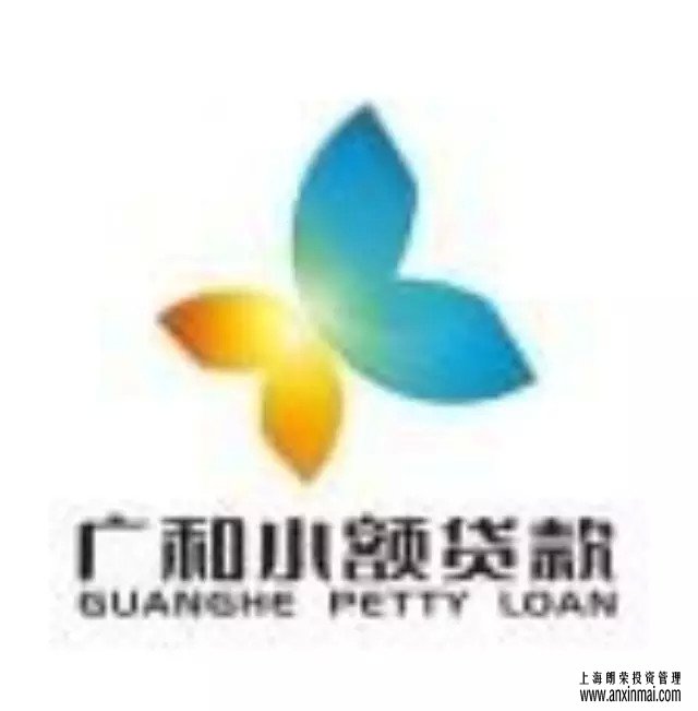 柳州市广和小额贷款股份有限公司定向增资方案_上海股权托管交易中心